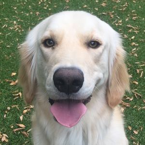 Meet your Posher, Michele